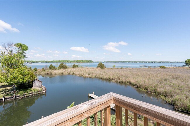 Building Photo - 1100 Paca Dr