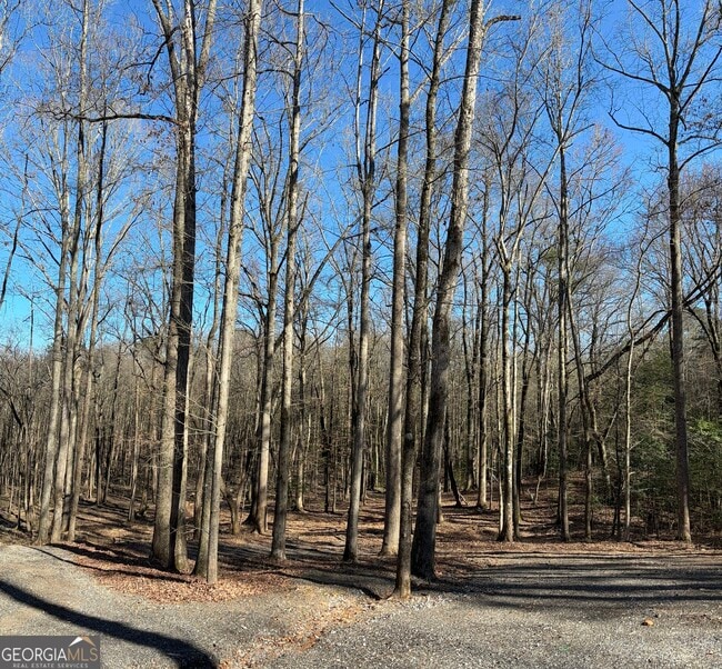 Building Photo - 1685 GA-54