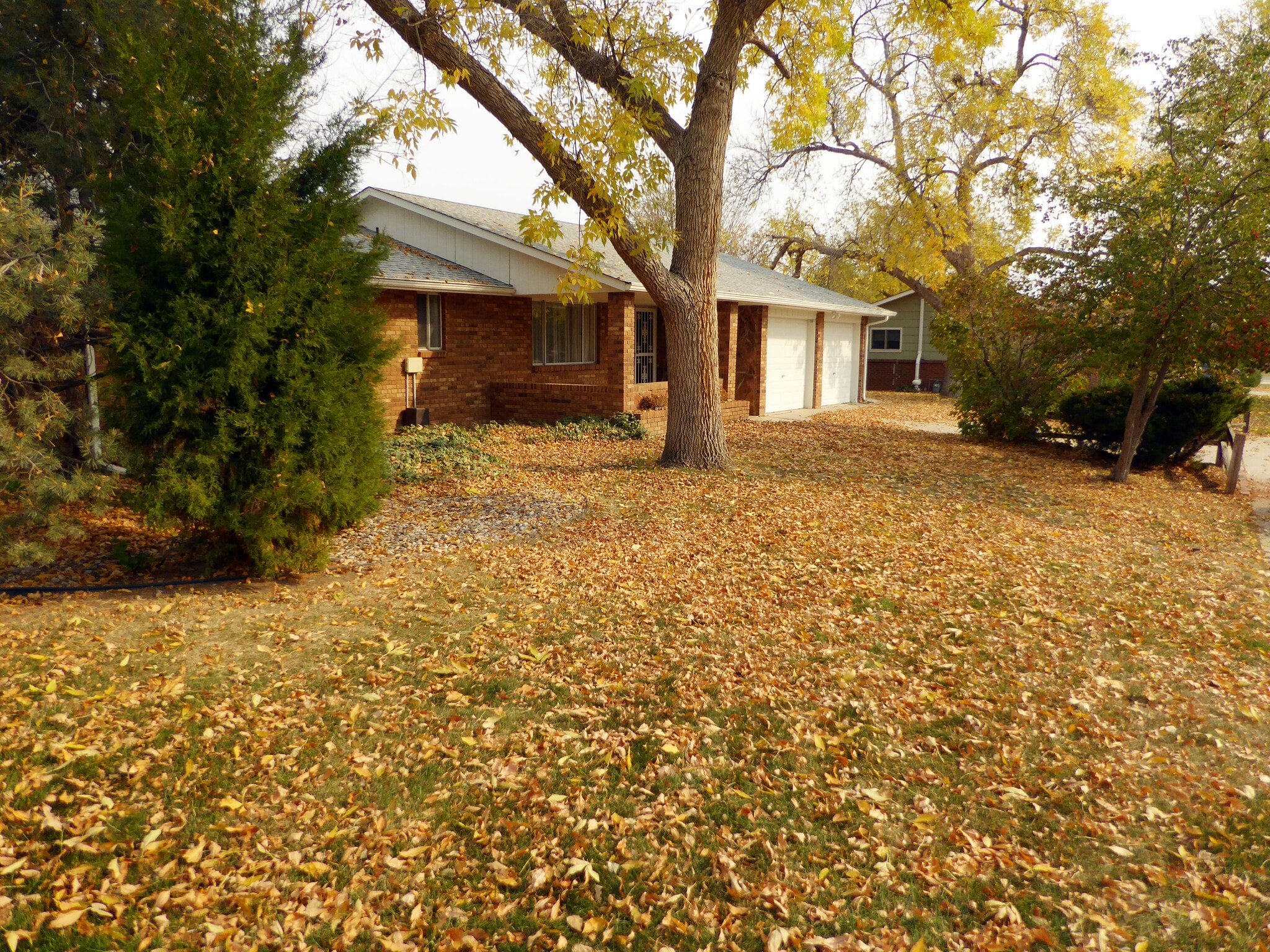 Building Photo - 331 Juniper Pl