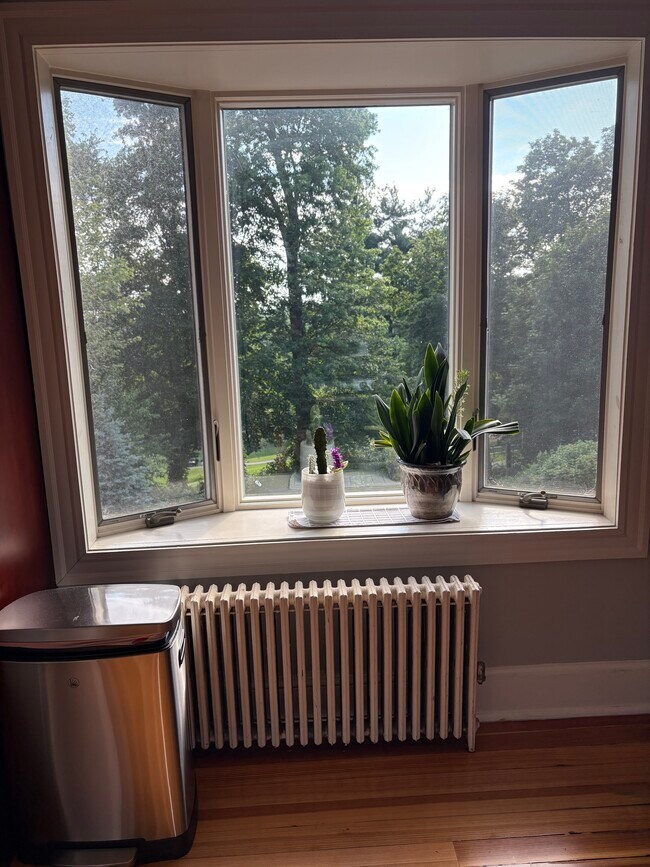 Building Photo - 51 Algonquin Rd