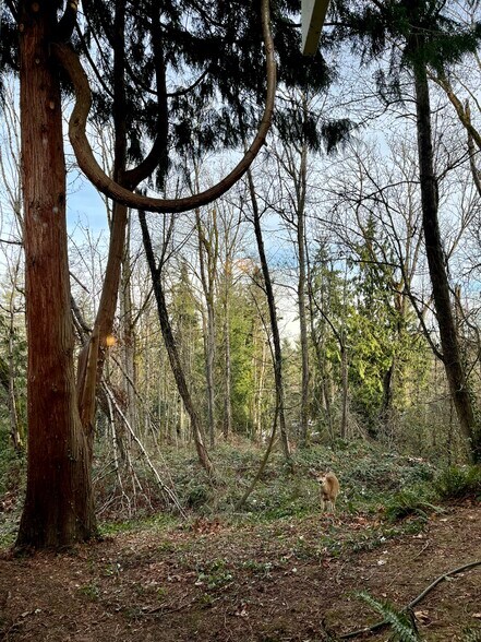 Building Photo - 3950 96th Ave SE