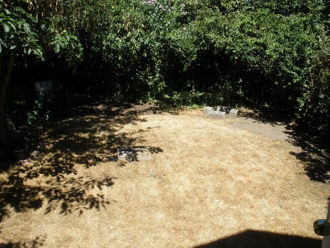 Building Photo - Greenlake / Greenwood Craftsman Home