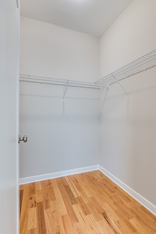 Building Photo - 53 Foal Ln