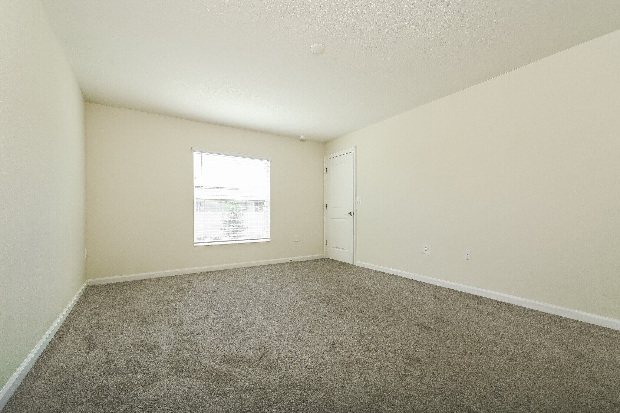 Building Photo - 522 Patton Lp