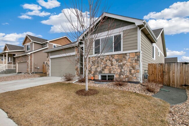 Building Photo - Fantastic Loveland Location with 5 Bedrooms, 3 Bathrooms, 2-Car Garage, and Finished Basement!