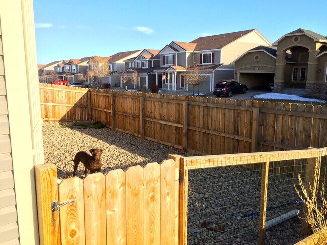 Building Photo - Parade of Homes Winner – Upgraded 4BD/3BA ...