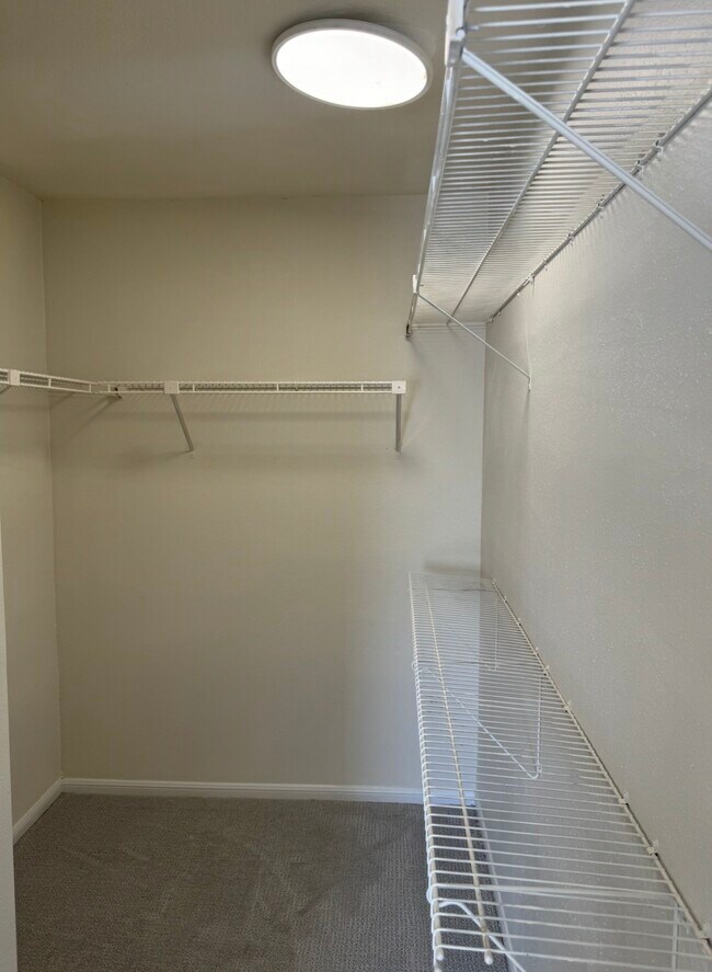 Building Photo - 3130 Walnut Bend Ln