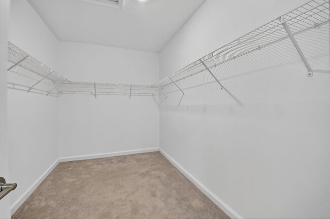 Building Photo - 4320 Buttonwood Dr