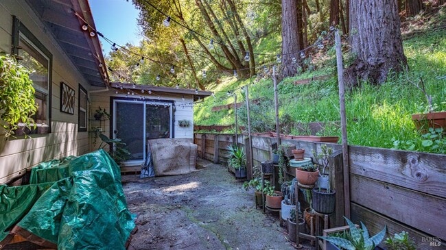 Building Photo - 317 Olema Rd