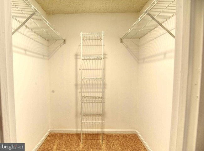 Building Photo - 1007 Fallcrest Ct