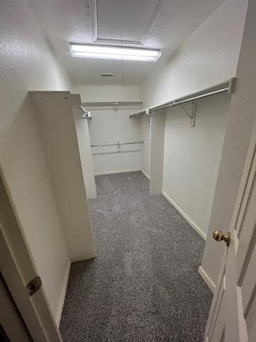 Building Photo - 2032 Stonecourt Dr