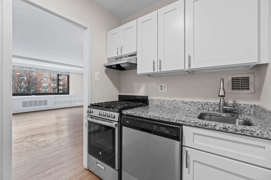 kitchen - 1011 Arlington Blvd