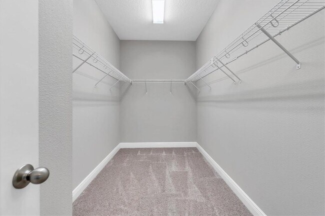 Building Photo - 2848 Satilla Lp