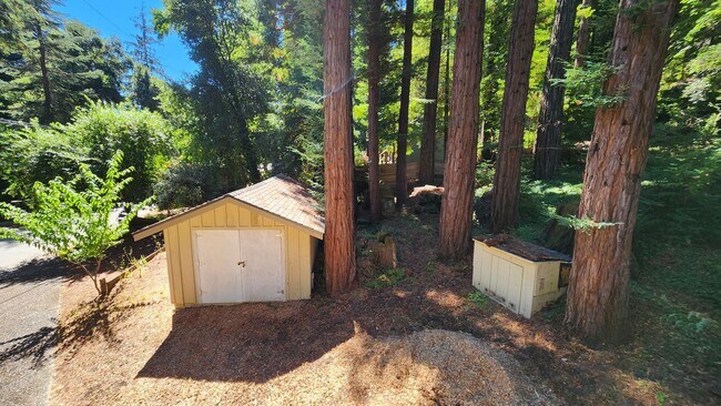 Building Photo - Beautiful Boulder Creek Redwood Cabin!