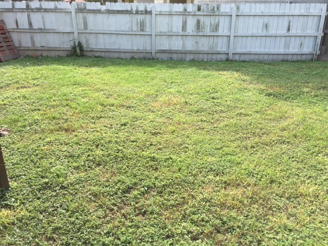 Building Photo - 2801 Charleston Ln