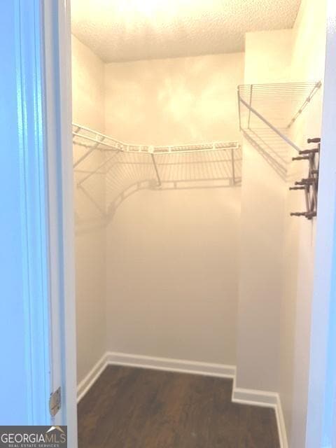 Building Photo - 305 Carriage Chase