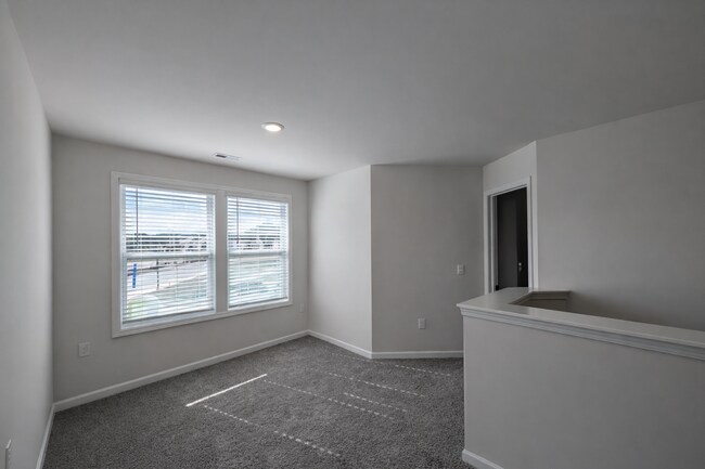 Building Photo - **6 Month Lease** New Construction Home-Hendersonville