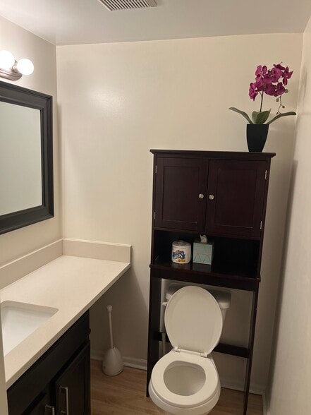 Half bath downstairs - 3079 Ailsa Craig Dr