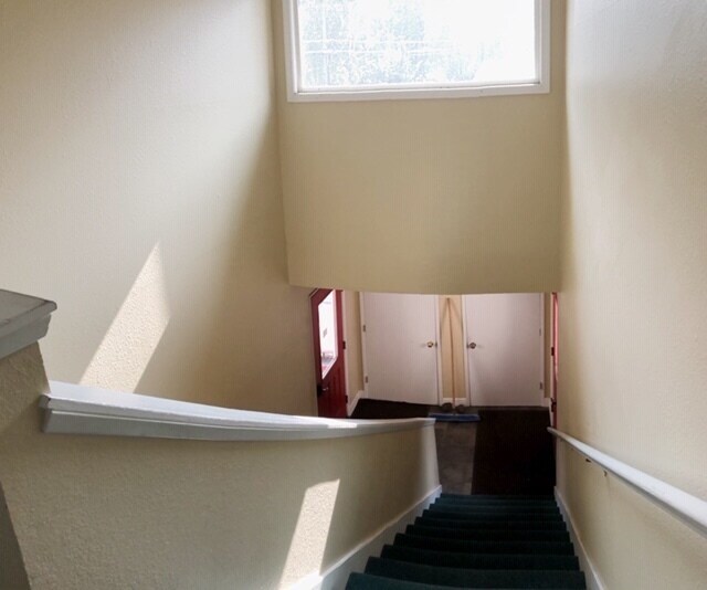 Building Photo - 2803 Aspen Dr