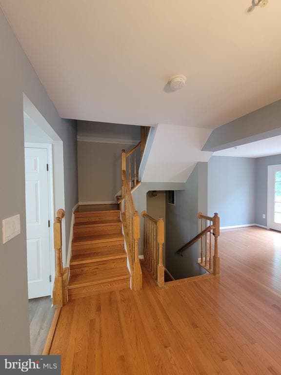 Building Photo - 8702 Castlerock Ct