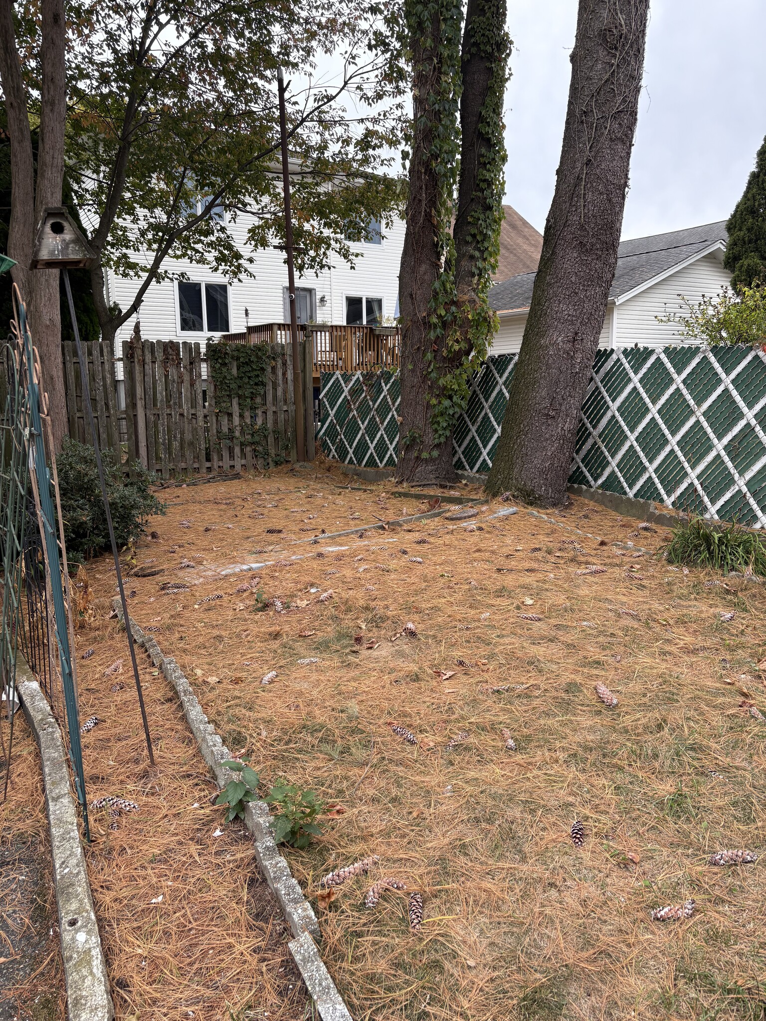 Backyard Access - 29 Wood St