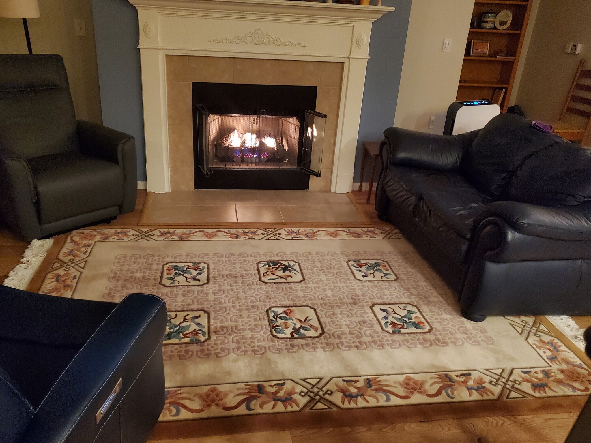 Living room with gas fireplace - 3872 S Lake Dr