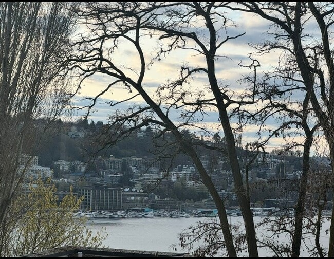 Building Photo - Aloha