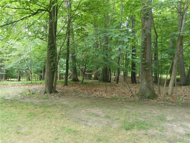 Building Photo - 1530 Scenic Hollow Dr