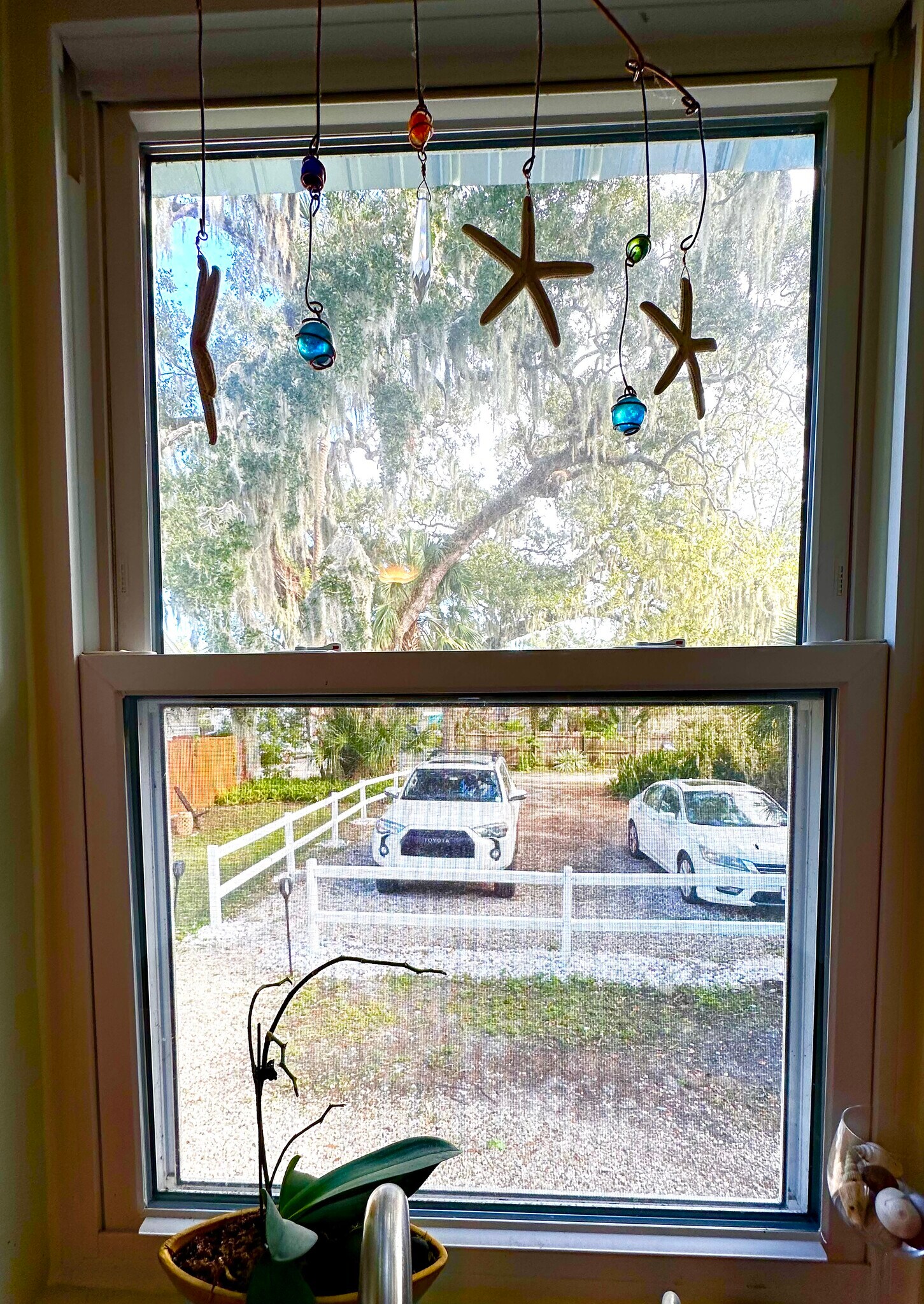 Building Photo - 313 Faulkner St