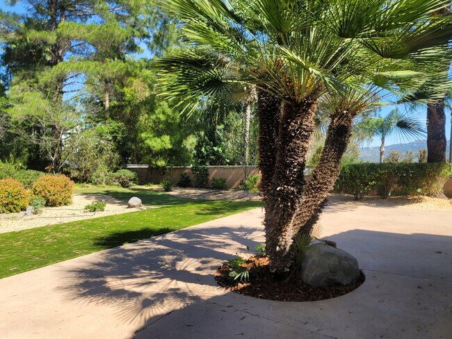 Building Photo - 462 Avenida Adobe