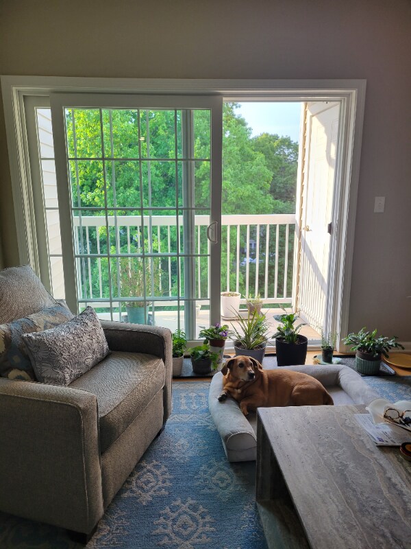 Building Photo - 23 Augustus Ct