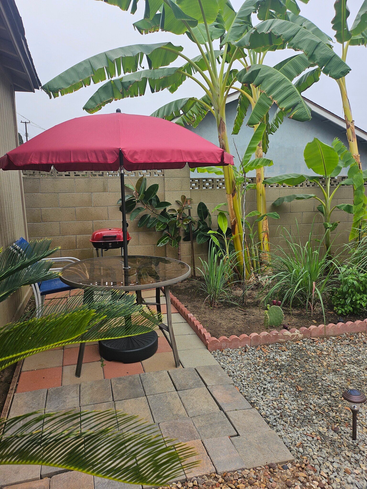 Patio - 24036 Gemwood Dr
