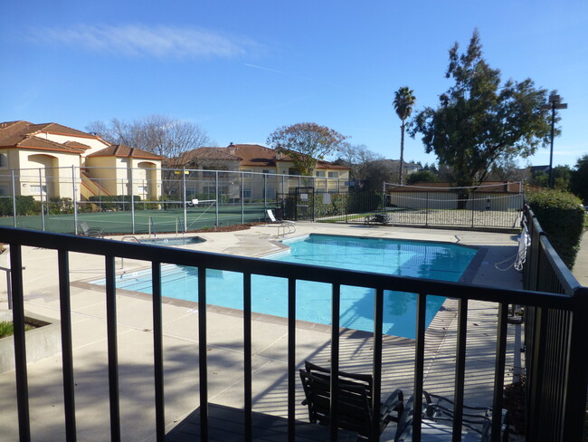 Main Pool - 7144 Dublin Meadows St