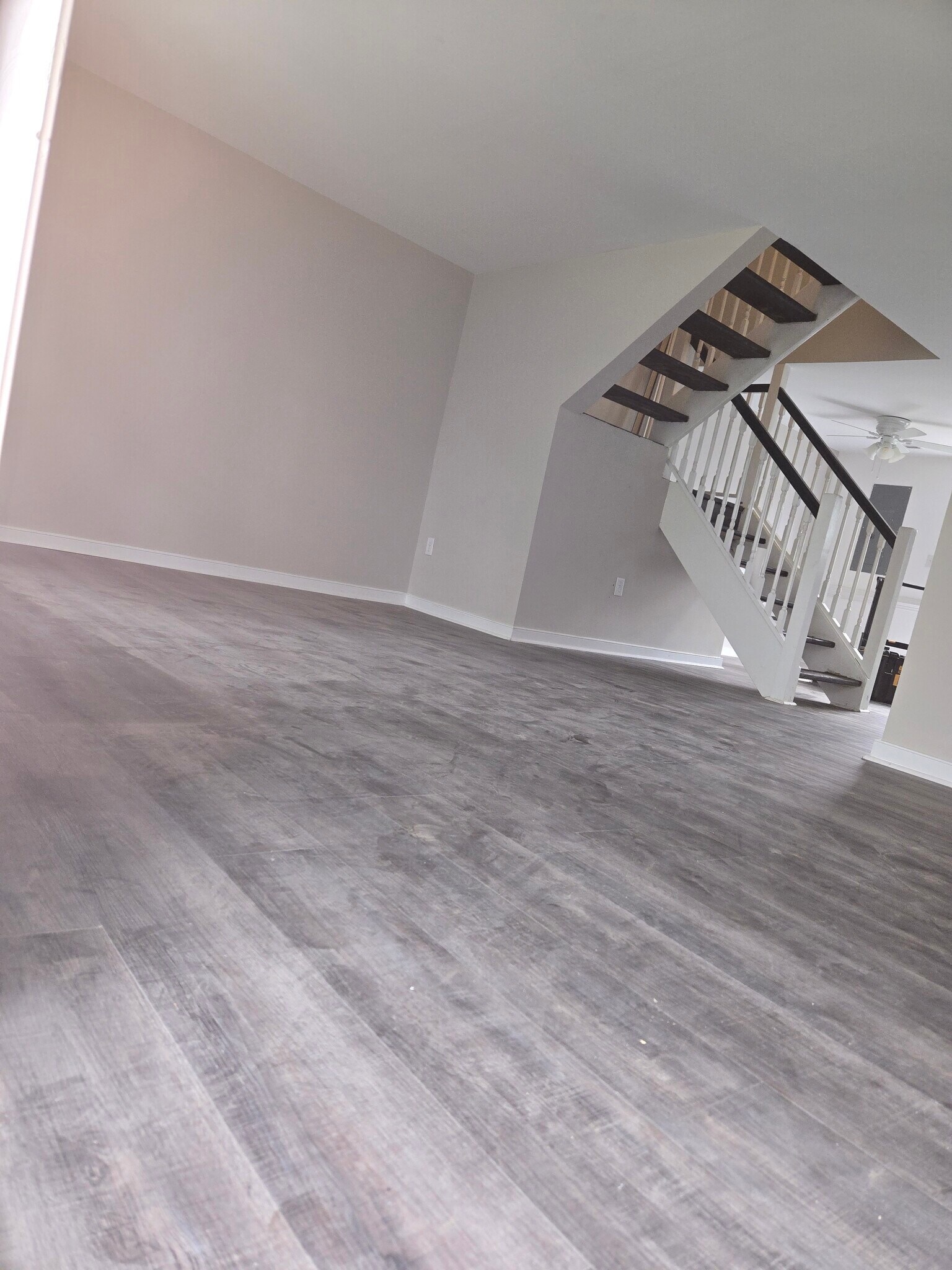 Building Photo - 4904 Finnegan Ct