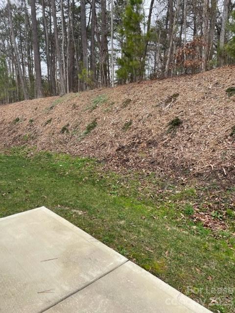 Building Photo - 4 bedrooms 3 bath town home in amenity fil...
