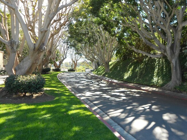 Building Photo - Serene Location in Park Point Loma! Two Ca...