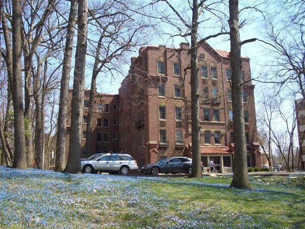 Building Photo - 715 S Forest Ave