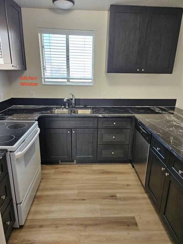 Building Photo - 1438 Stetson Way