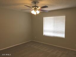 Building Photo - 9022 N 63rd Dr