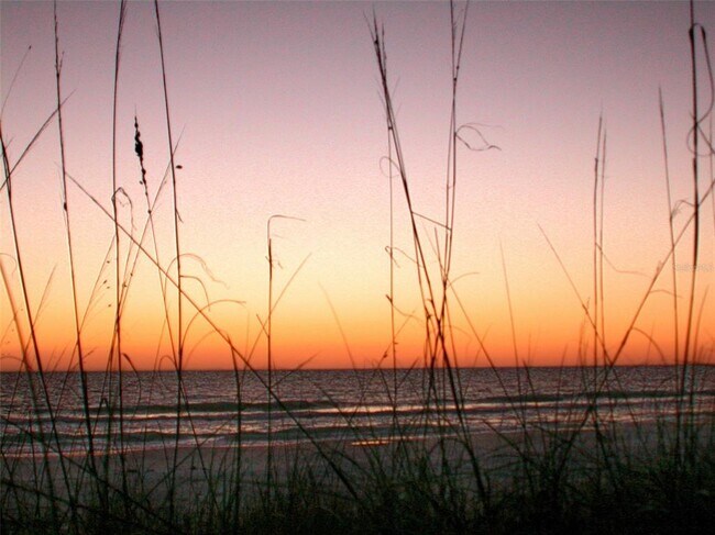 Building Photo - 5757 Gulf of Mexico Dr