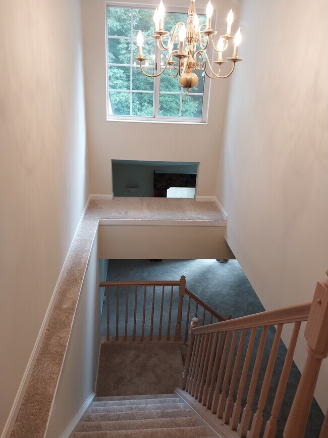 Building Photo - 3912 Vineyard Green Dr