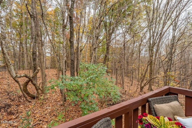 Building Photo - 2 Bdrm / 1.5 Bath Townhouse in Johnson City - Near ETSU, JCMC & VA