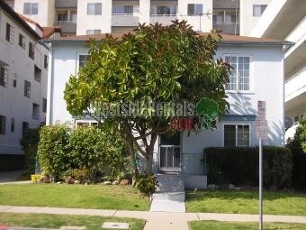 Primary Photo - 10607 Ashton Ave