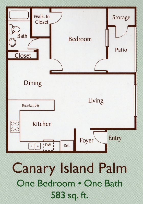 Canary Island Palm - Tierra Ridge Apartments