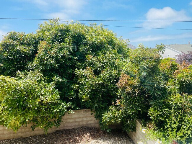 Building Photo - Three bedroom home in The Heights area of Morro Bay