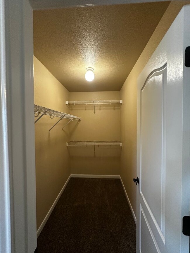 Building Photo - Spacious 5-Bedroom with Elegant Upgrades & Expansive Backyard in Trophy Ridge Subdivision