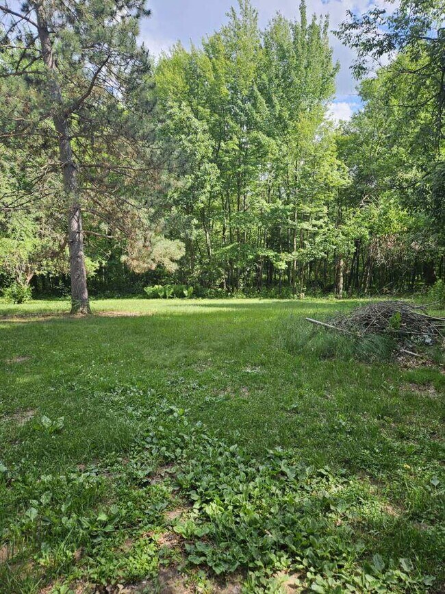 Building Photo - 1 bedroom lower level duplex in the country