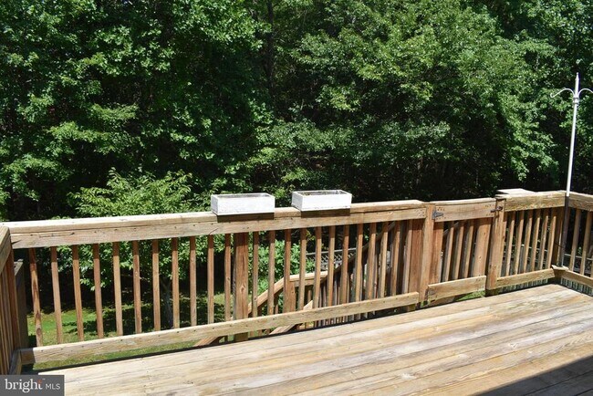 Building Photo - 1302 Arabis Ct