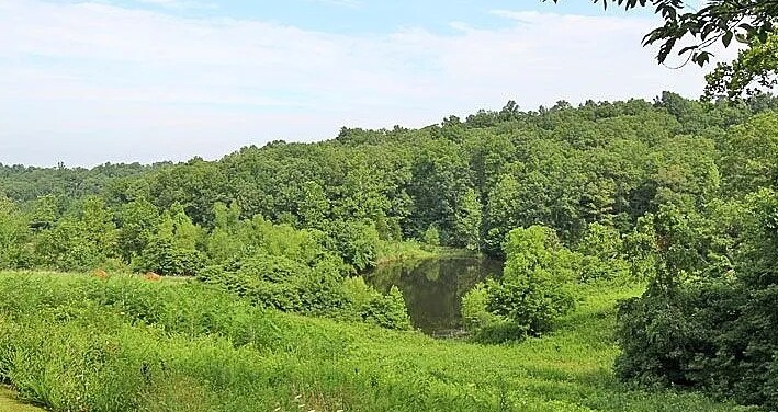 Building Photo - 264 CR 522