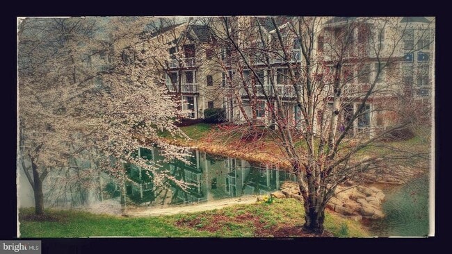 Building Photo - 20602 Cornstalk Terrace